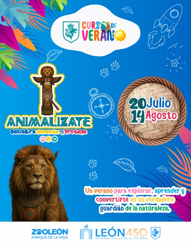 CURSOS DE VERANO